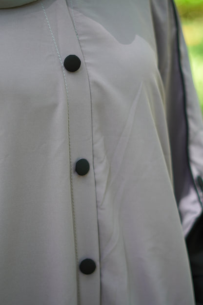 Ensemble ASSIL