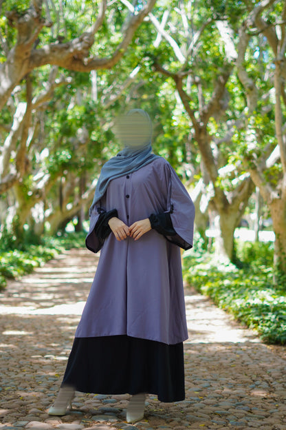 Ensemble ASSIL