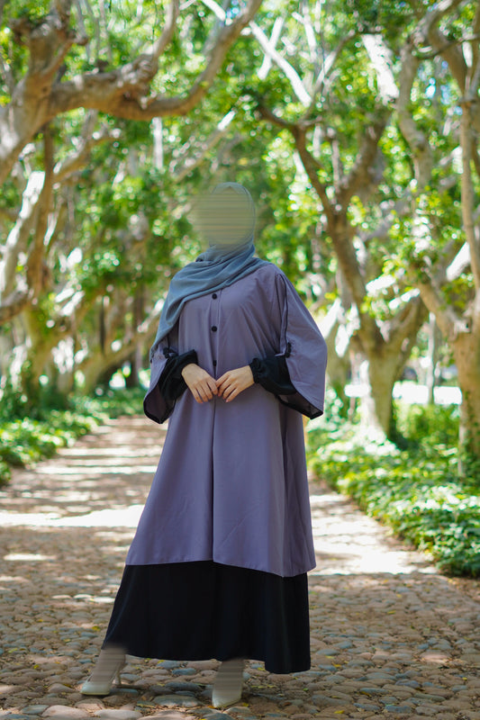Ensemble ASSIL