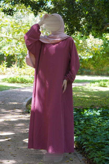 Ensemble ASSIL