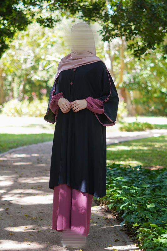 Ensemble ASSIL